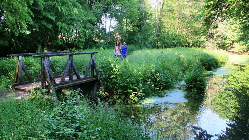 Ein Mann und eine Frau wandern an einem Teich entlang durch grünes Gras und sind kurz davor, über eine Holzbrücke zu gehen.