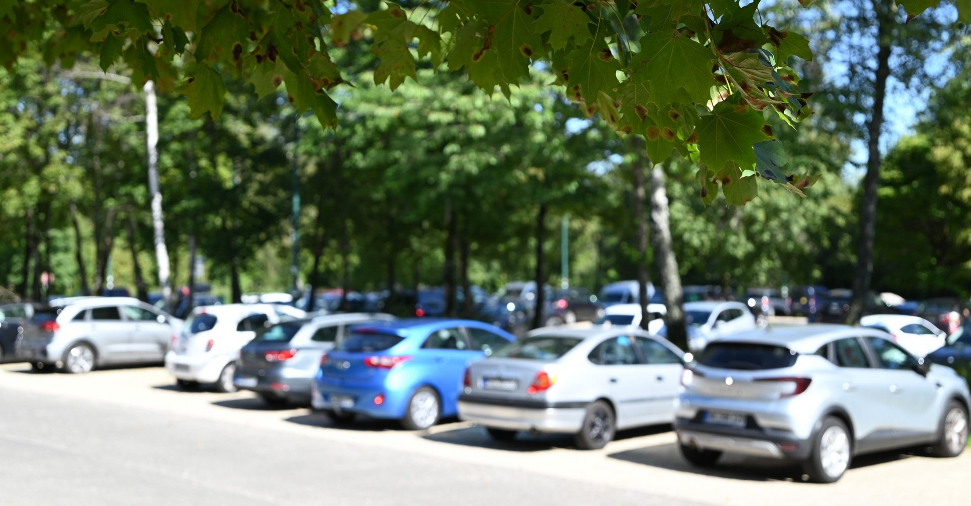 Mehrere Autos verschiedener Marken und in verschiedenen Farben stehen nebeneinander auf einem Parkplatz. Im Hintergrund sind Bäume zu sehen.