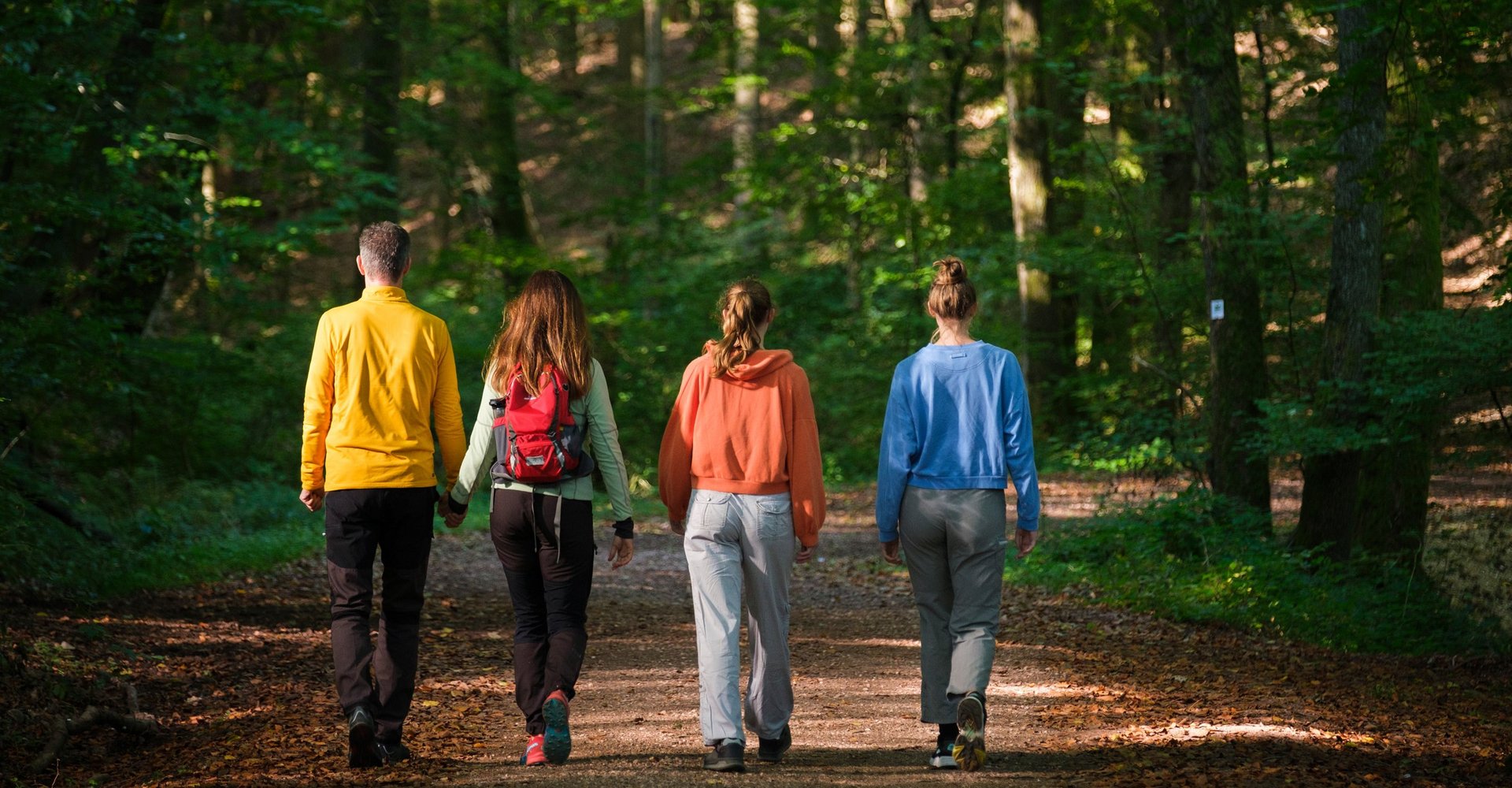 Ein Mann und drei Frauen sind in einem Wald auf einem Wanderweg unterwegs. Es ist jeweils ihre Rückansicht zu sehen.
