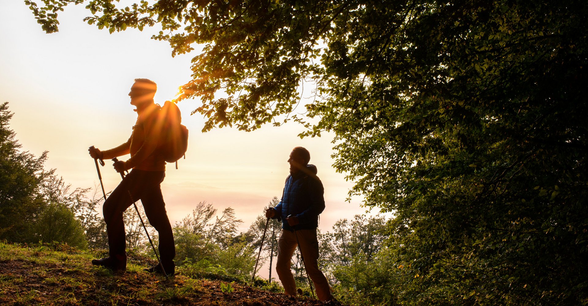 2 Männer in Wanderkleidung und mit Nordic Walking Stöcken wandern bei Sonnenuntergang einen Berg hinauf.
