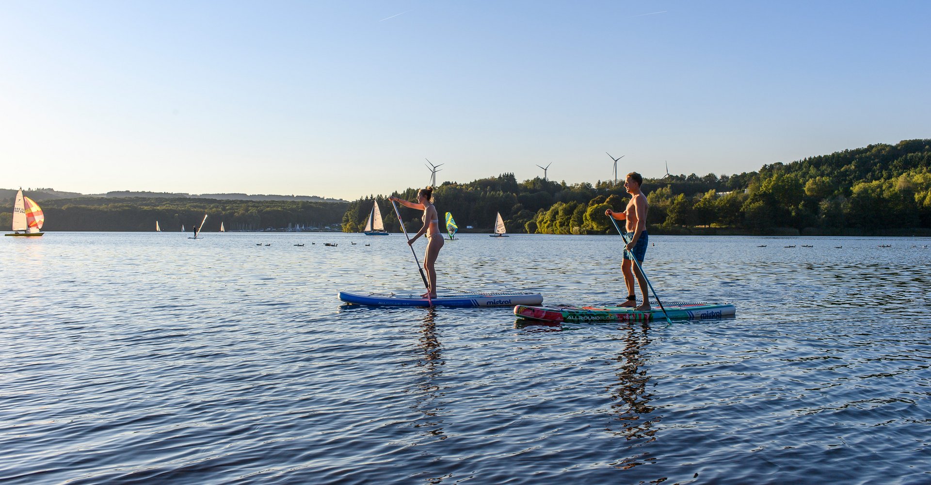 2 Stand Up Paddler sind bei Sonnenschein auf dem Bostalsee unterwegs. Im Hintergrund sind Enten und Segler zu sehen
