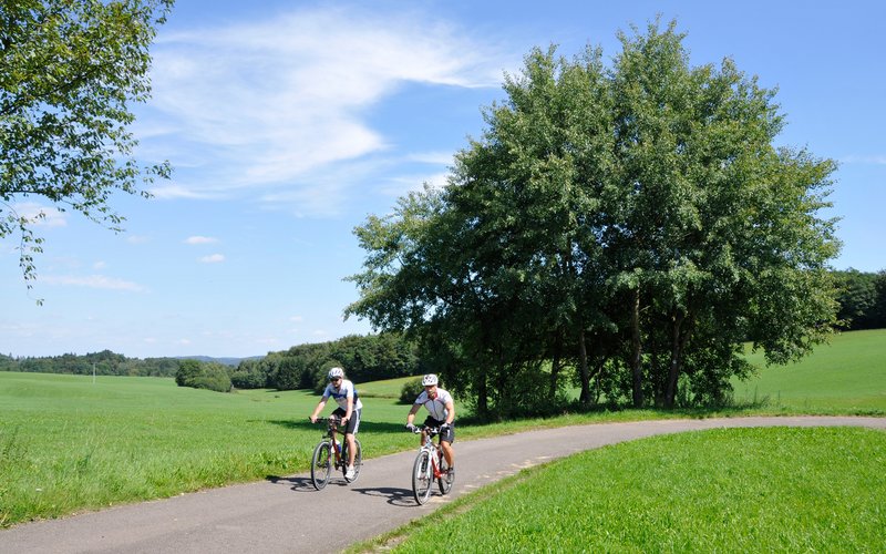 2 Radfahrer fahren auf einem asphaltierten Weg durch eine grüne Landschaft mit Bäumen am Wegesrand.